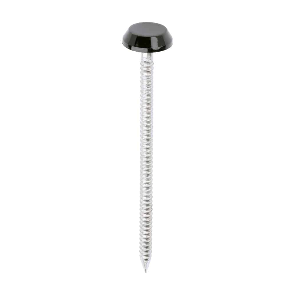 Stacked from 14 images. Method=B (R=8,S=4) Timco 65mm poly nails plastic head nails colour matched pack of 100