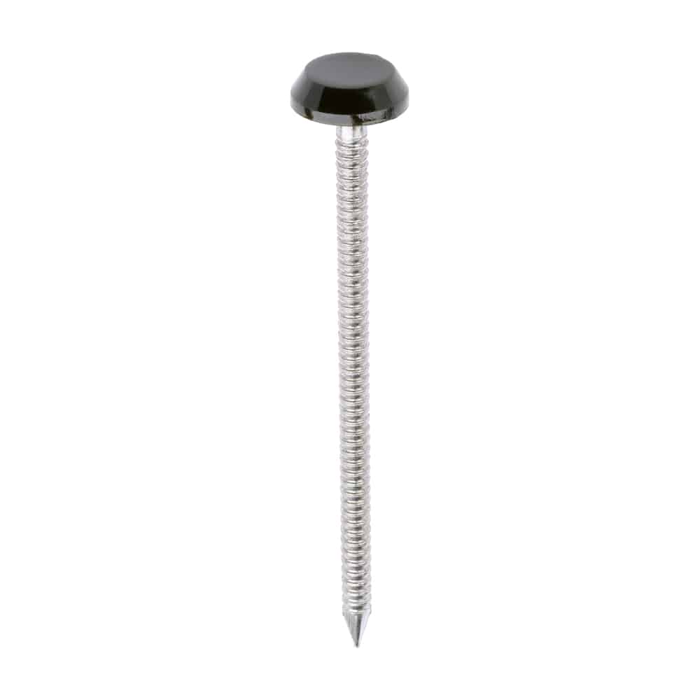 Stacked from 14 images. Method=B (R=8,S=4) Timco 65mm poly nails plastic head nails colour matched pack of 100